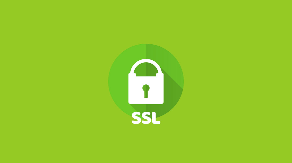 Everything You Need To Know About SSL